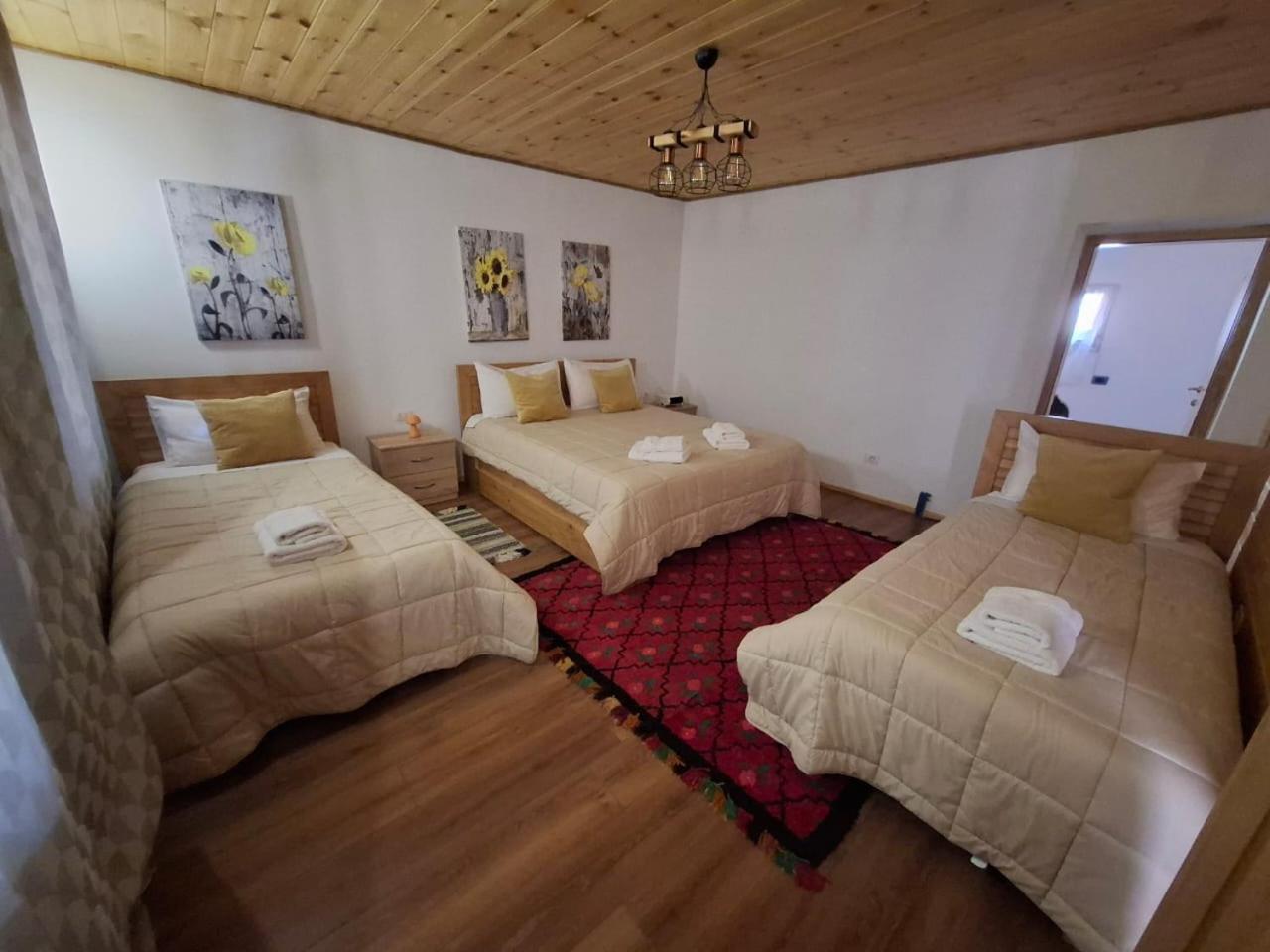 Villa Davisol Theth Rum bild